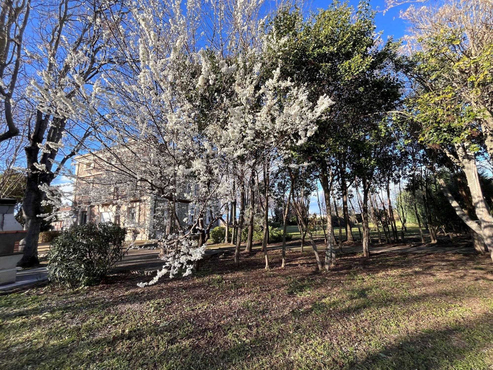 Villa Merenciana Agoncillo Extérieur photo